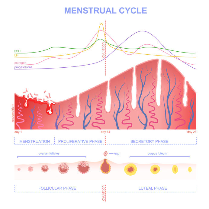 Progesterone Miscarriage and Fertility